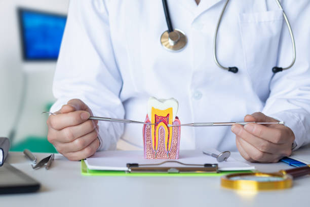 Best Emergency Dentist for Lost Fillings or Crowns in Bruceville Eddy, TX